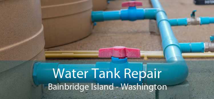 Water Tank Repair Bainbridge Island - Washington