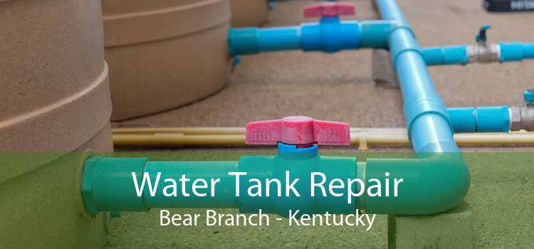 Water Tank Repair Bear Branch - Kentucky