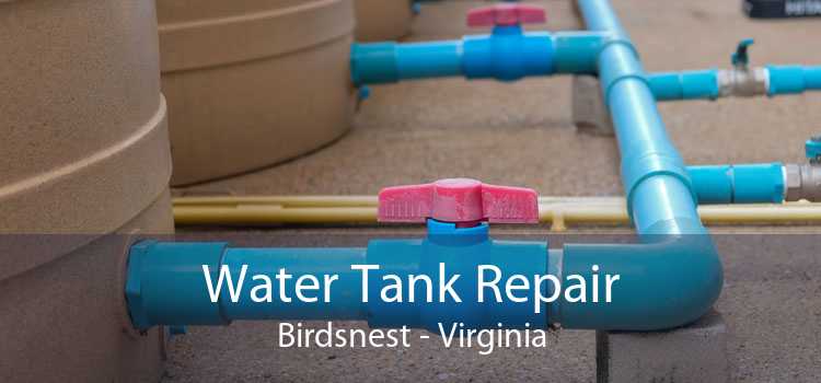 Water Tank Repair Birdsnest - Virginia