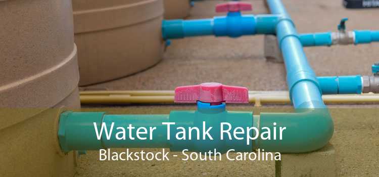 Water Tank Repair Blackstock - South Carolina