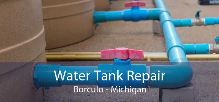 Water Tank Repair Borculo - Michigan