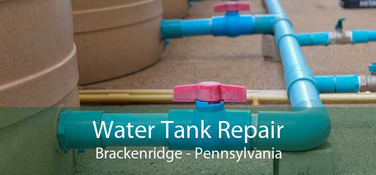 Water Tank Repair Brackenridge - Pennsylvania