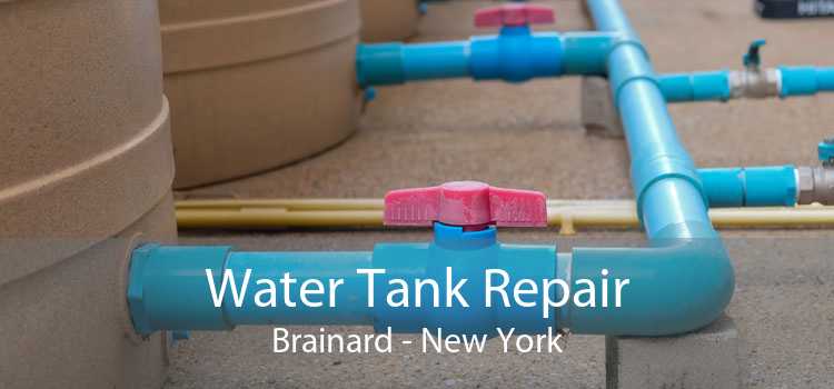 Water Tank Repair Brainard - New York