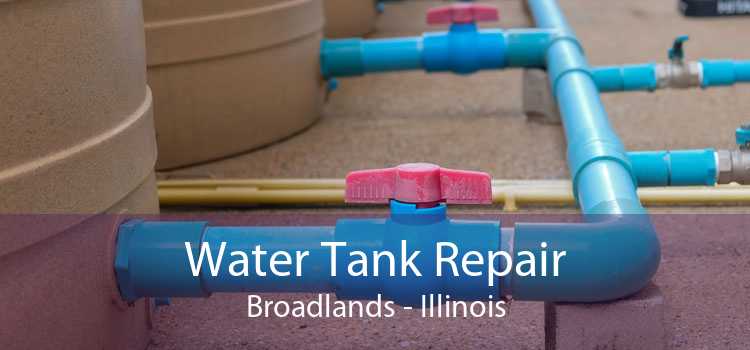 Water Tank Repair Broadlands - Illinois