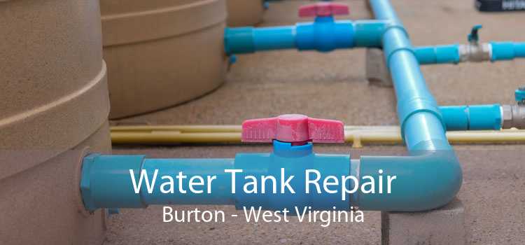 Water Tank Repair Burton - West Virginia