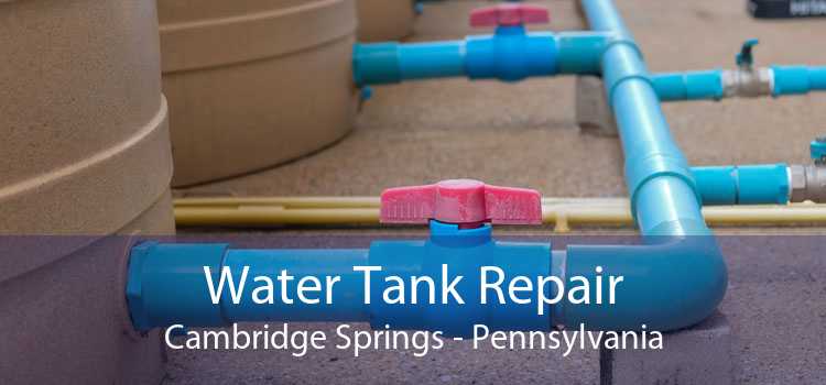 Water Tank Repair Cambridge Springs - Pennsylvania