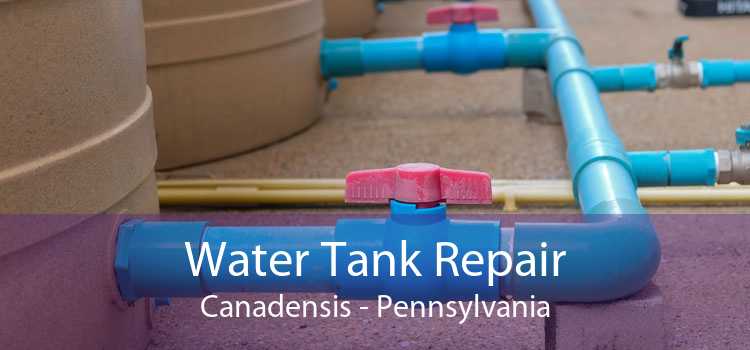 Water Tank Repair Canadensis - Pennsylvania
