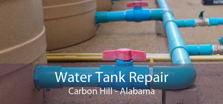 Water Tank Repair Carbon Hill - Alabama