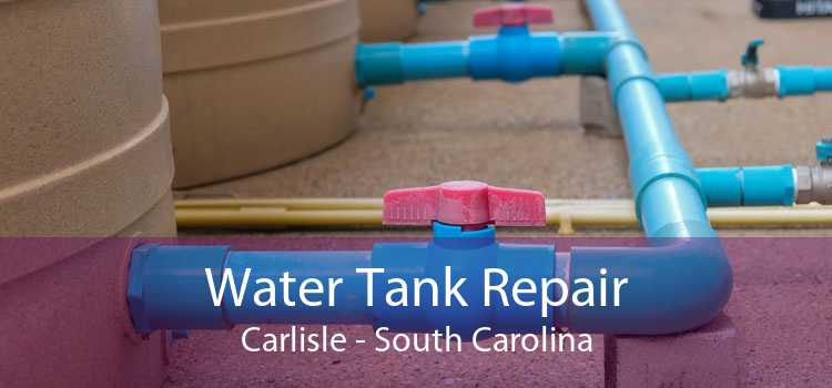 Water Tank Repair Carlisle - South Carolina
