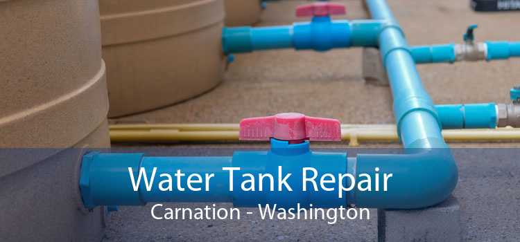 Water Tank Repair Carnation - Washington