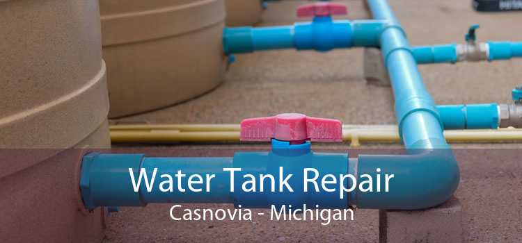 Water Tank Repair Casnovia - Michigan