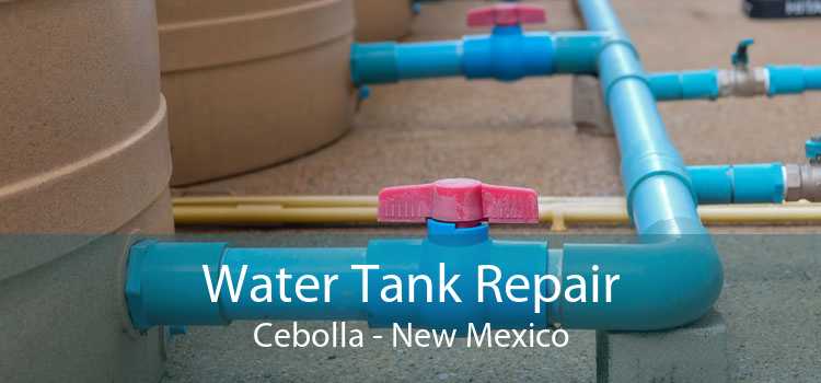 Water Tank Repair Cebolla - New Mexico