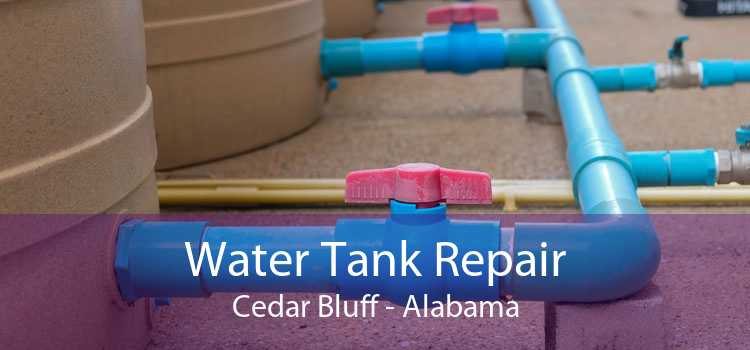 Water Tank Repair Cedar Bluff - Alabama