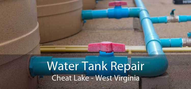 Water Tank Repair Cheat Lake - West Virginia
