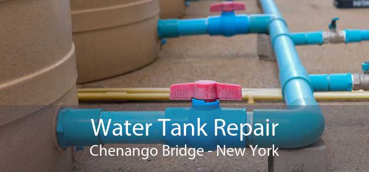 Water Tank Repair Chenango Bridge - New York