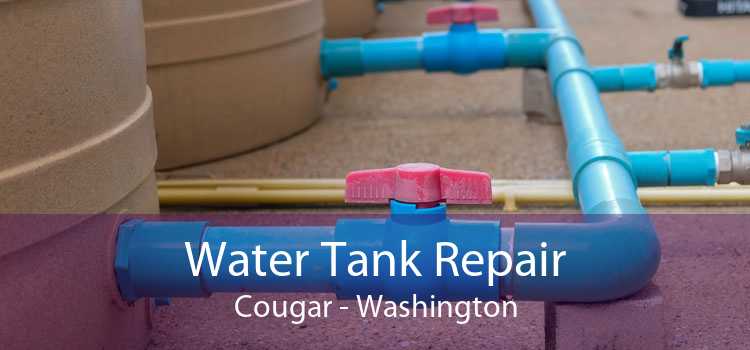 Water Tank Repair Cougar - Washington