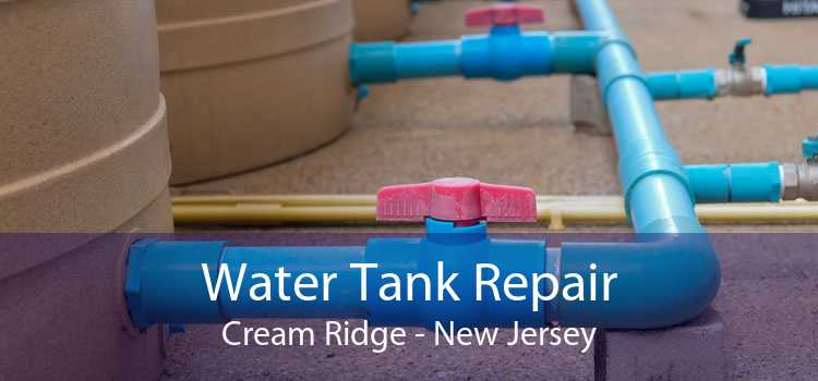 Water Tank Repair Cream Ridge - New Jersey