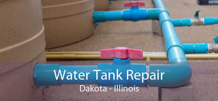 Water Tank Repair Dakota - Illinois