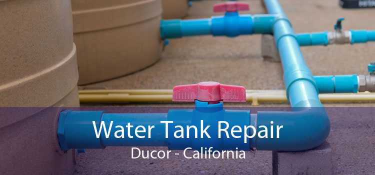 Water Tank Repair Ducor - California