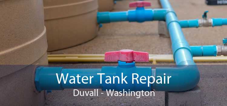 Water Tank Repair Duvall - Washington