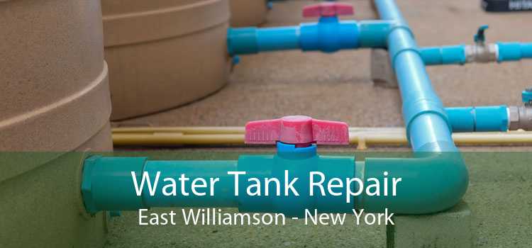 Water Tank Repair East Williamson - New York