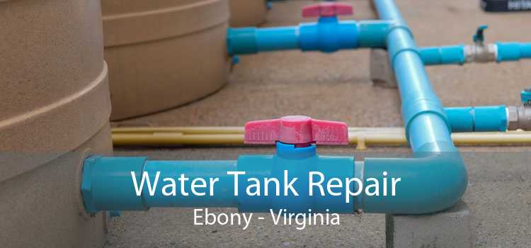 Water Tank Repair Ebony - Virginia