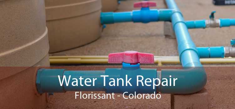 Water Tank Repair Florissant - Colorado