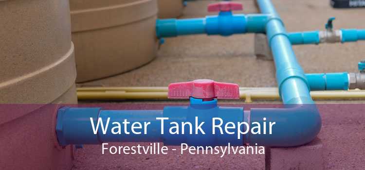 Water Tank Repair Forestville - Pennsylvania