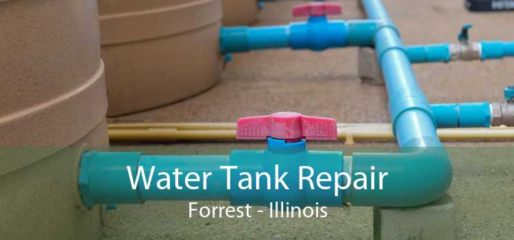 Water Tank Repair Forrest - Illinois