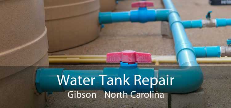 Water Tank Repair Gibson - North Carolina