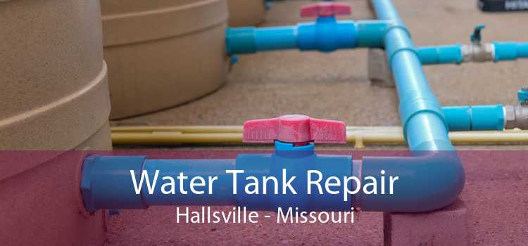 Water Tank Repair Hallsville - Missouri