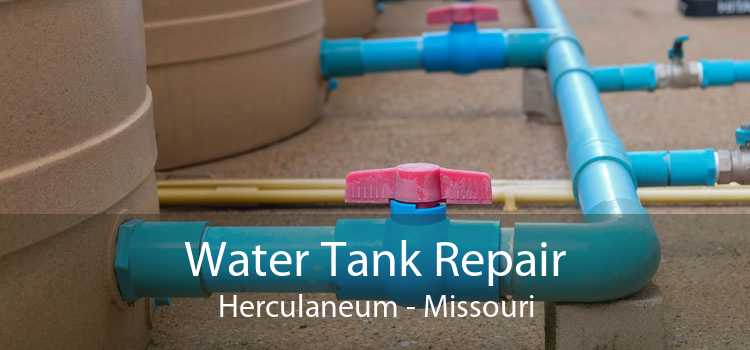 Water Tank Repair Herculaneum - Missouri