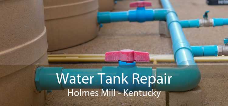 Water Tank Repair Holmes Mill - Kentucky