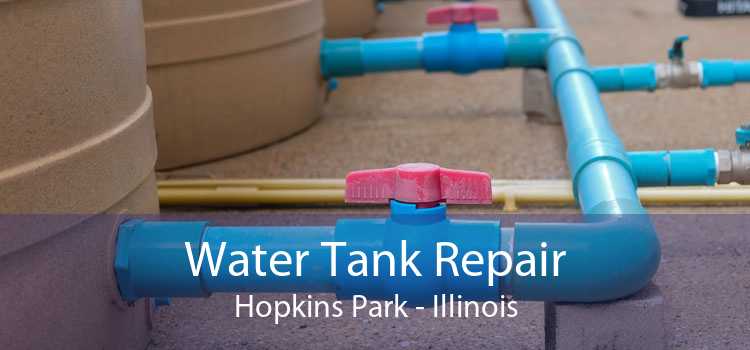 Water Tank Repair Hopkins Park - Illinois