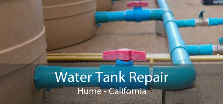Water Tank Repair Hume - California