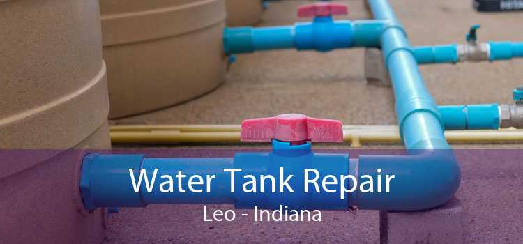Water Tank Repair Leo - Indiana