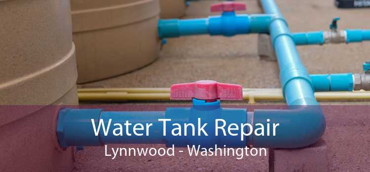 Water Tank Repair Lynnwood - Washington