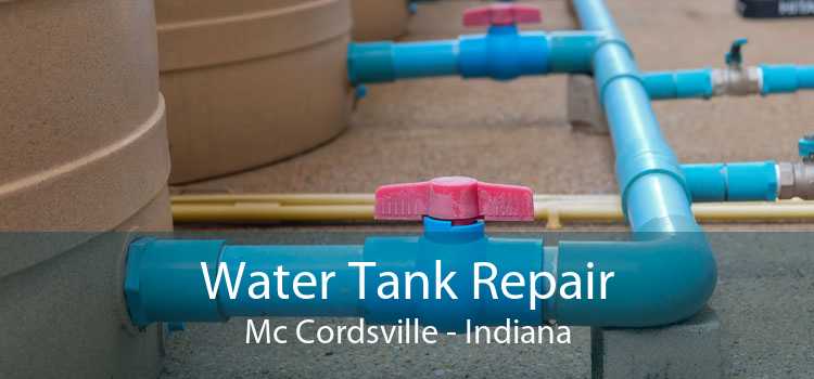 Water Tank Repair Mc Cordsville - Indiana