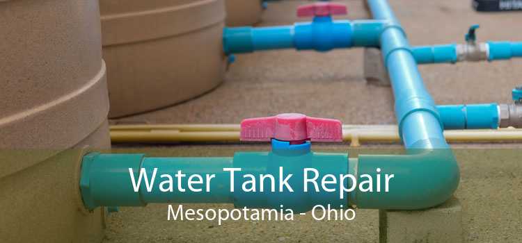 Water Tank Repair Mesopotamia - Ohio