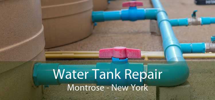 Water Tank Repair Montrose - New York
