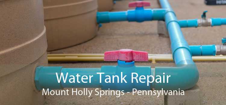 Water Tank Repair Mount Holly Springs - Pennsylvania