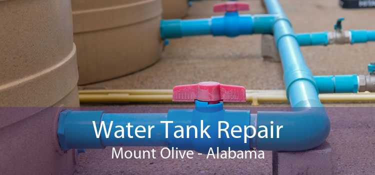 Water Tank Repair Mount Olive - Alabama