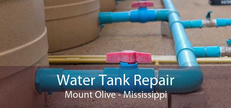 Water Tank Repair Mount Olive - Mississippi