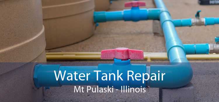 Water Tank Repair Mt Pulaski - Illinois