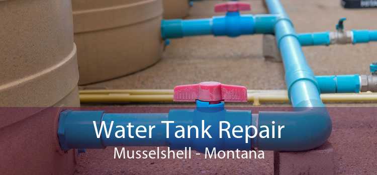 Water Tank Repair Musselshell - Montana