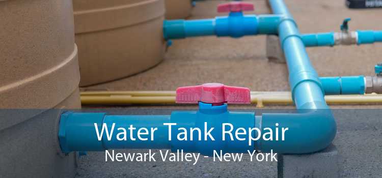 Water Tank Repair Newark Valley - New York