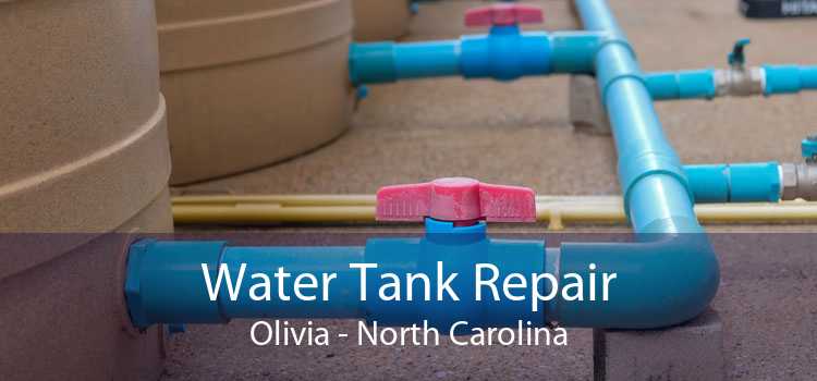 Water Tank Repair Olivia - North Carolina