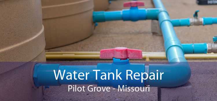 Water Tank Repair Pilot Grove - Missouri