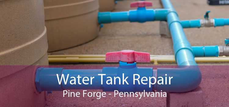 Water Tank Repair Pine Forge - Pennsylvania