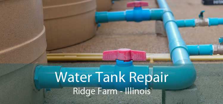 Water Tank Repair Ridge Farm - Illinois